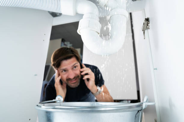Best Water Leak Repair  in Springfield, MI