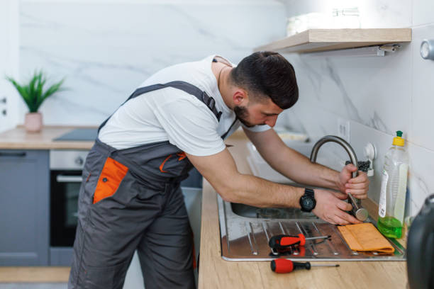 Best Affordable Plumbing Services  in Springfield, MI