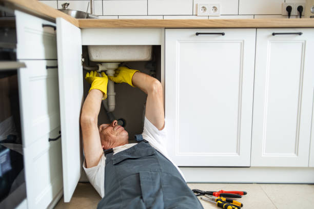 Best Leak Detection Services  in Springfield, MI